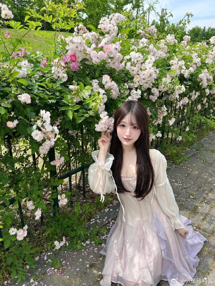 甄嬛传